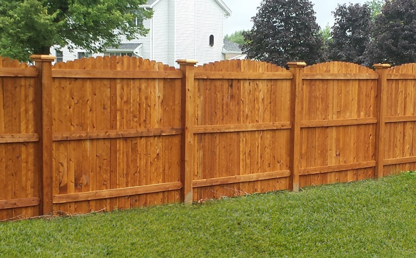Cedar Privacy Fencing